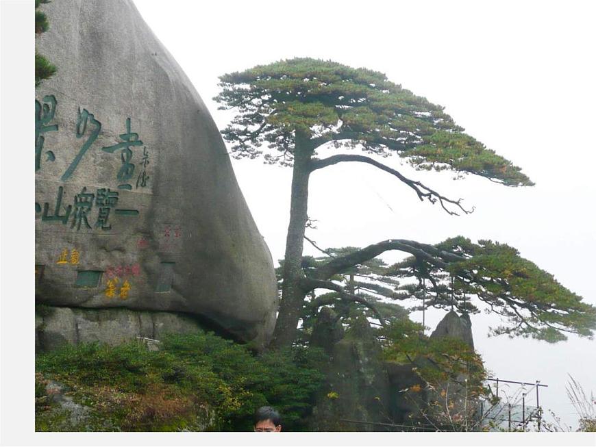 人美版美術八下第三課《中國山水畫的意境》ppt課件2第3頁