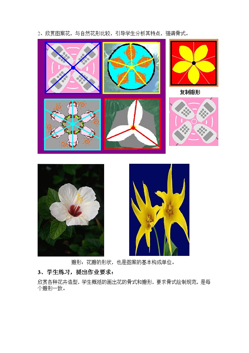 湘教版美术七上第五课《花圃》word教案02