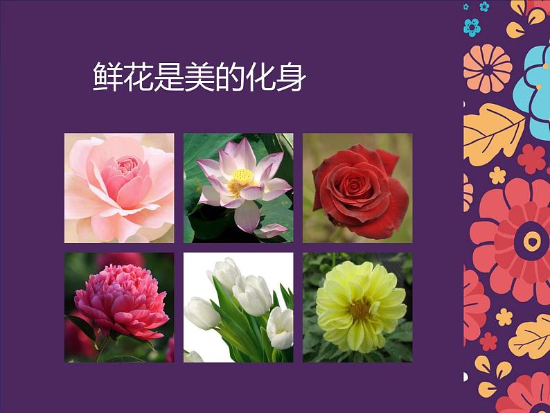 初中美术5-花卉与纹样-课件-(4)ppt课件03