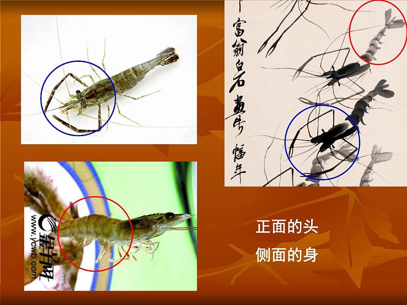 初中美术10.齐白石-课件-(1)ppt课件第8页