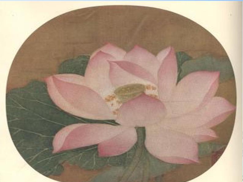 七年级美术(浙美版)上册教学课件:6、出水芙蓉 (共13张PPT)05