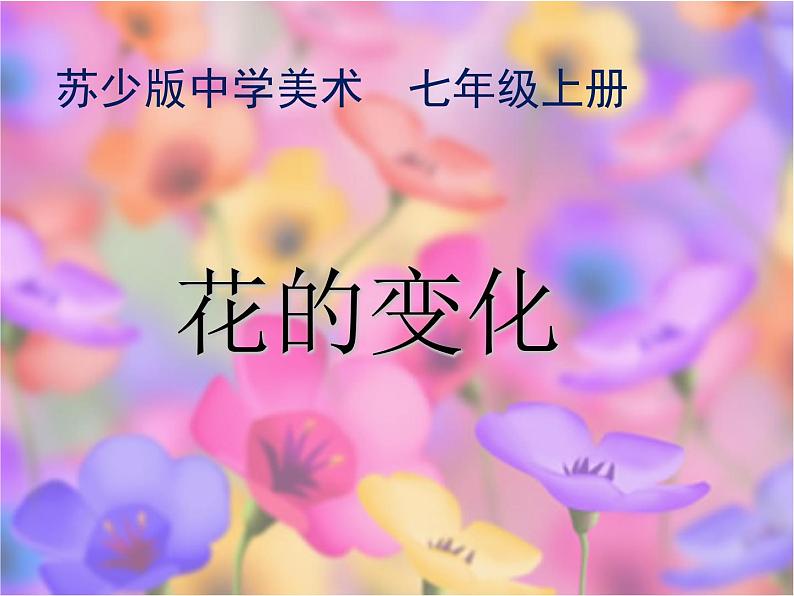 苏少版七年级美术上册 第6课 花的变化(22张PPT)第6页