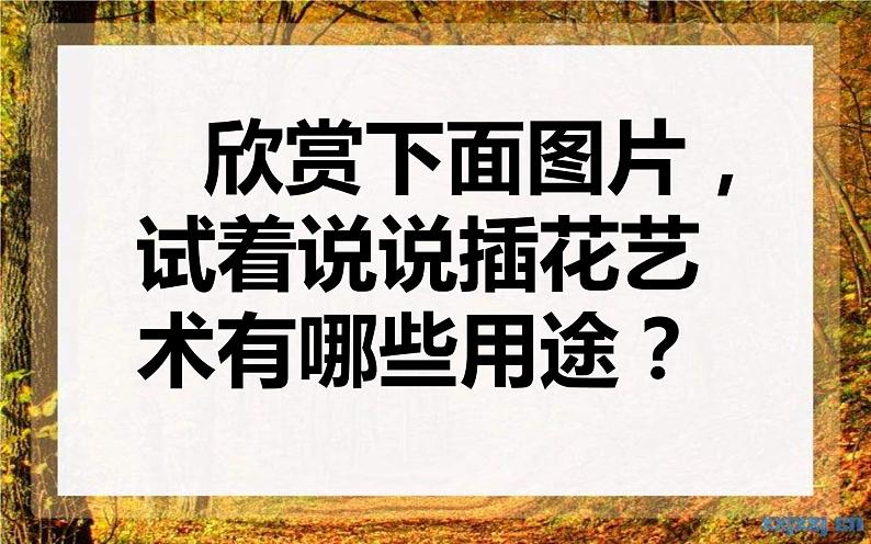 人教版初中美术八年级下册第三单元 第1课 插花 课件04