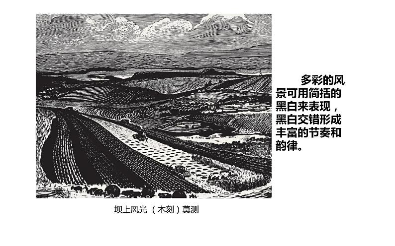 湘美版七年级美术下册 2.黑白世界课件PPT第2页