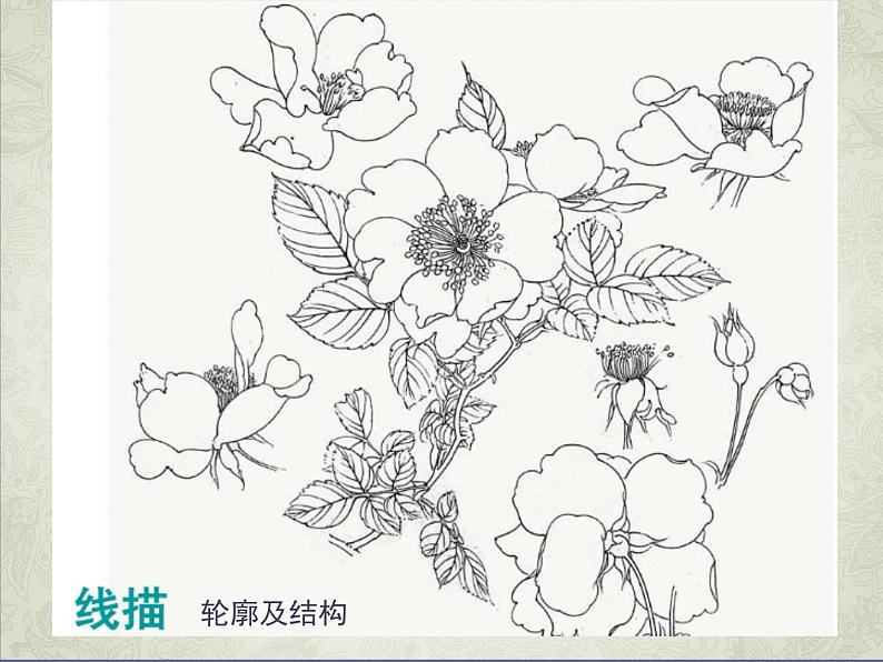 2.2 设计纹样 课件(共30张PPT)-2021-2022学年人教版美术八年级下册第3页