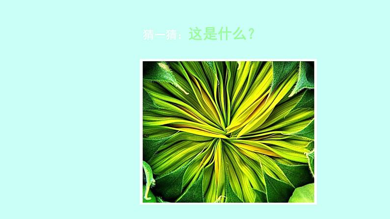 浙美版初中美术九年级下册 8.发现不一样的美 课件103