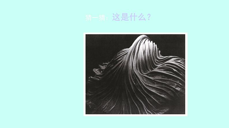浙美版初中美术九年级下册 8.发现不一样的美 课件106