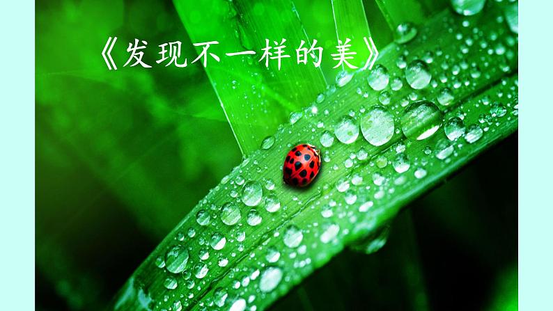 浙美版初中美术九年级下册 8.发现不一样的美 课件108
