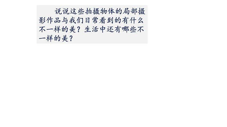 浙美版初中美术九年级下册 8.发现不一样的美 课件第4页