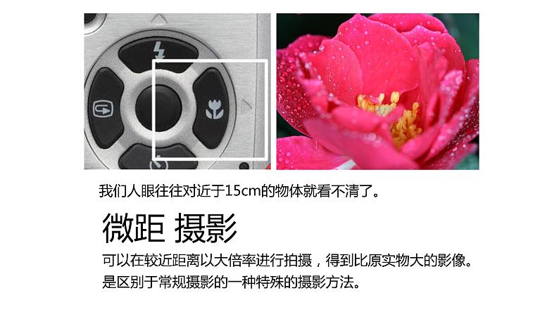 浙美版初中美术九年级下册 8.发现不一样的美 课件2第3页