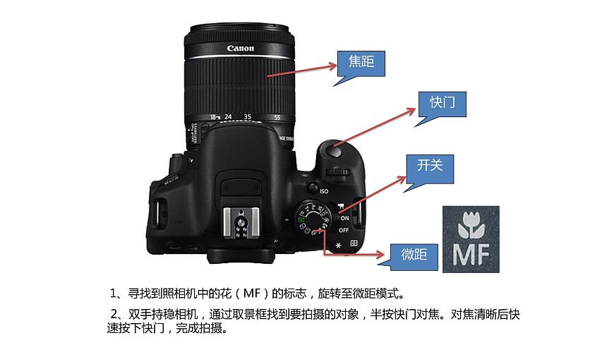 浙美版初中美術(shù)九年級下冊   8.發(fā)現(xiàn)不一樣的美   課件2第5頁