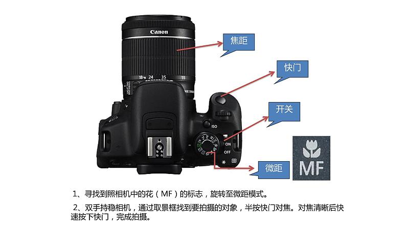 浙美版初中美术九年级下册 8.发现不一样的美 课件2第5页