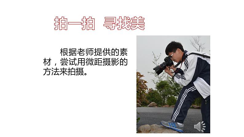 浙美版初中美术九年级下册 8.发现不一样的美 课件2第6页