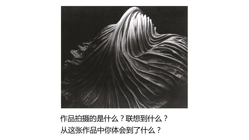 浙美版初中美術(shù)九年級下冊   8.發(fā)現(xiàn)不一樣的美   課件2第7頁