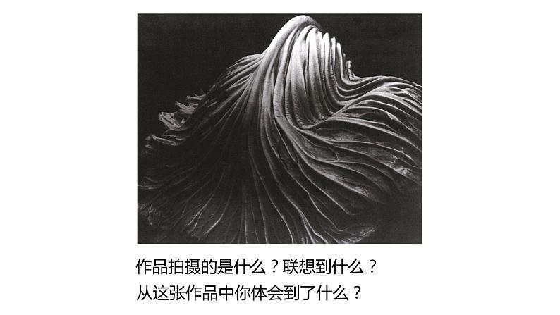 浙美版初中美术九年级下册 8.发现不一样的美 课件2第7页