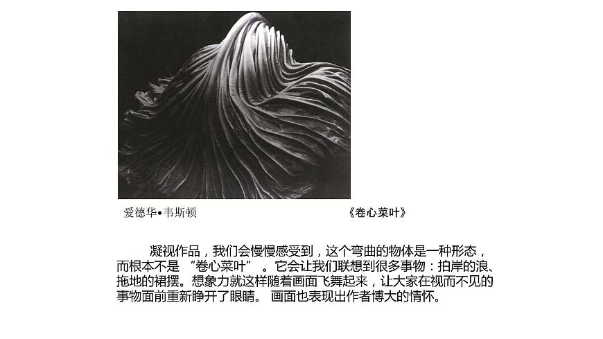 浙美版初中美術(shù)九年級下冊   8.發(fā)現(xiàn)不一樣的美   課件2第8頁