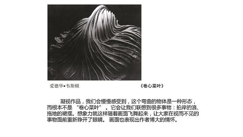 浙美版初中美术九年级下册 8.发现不一样的美 课件2第8页
