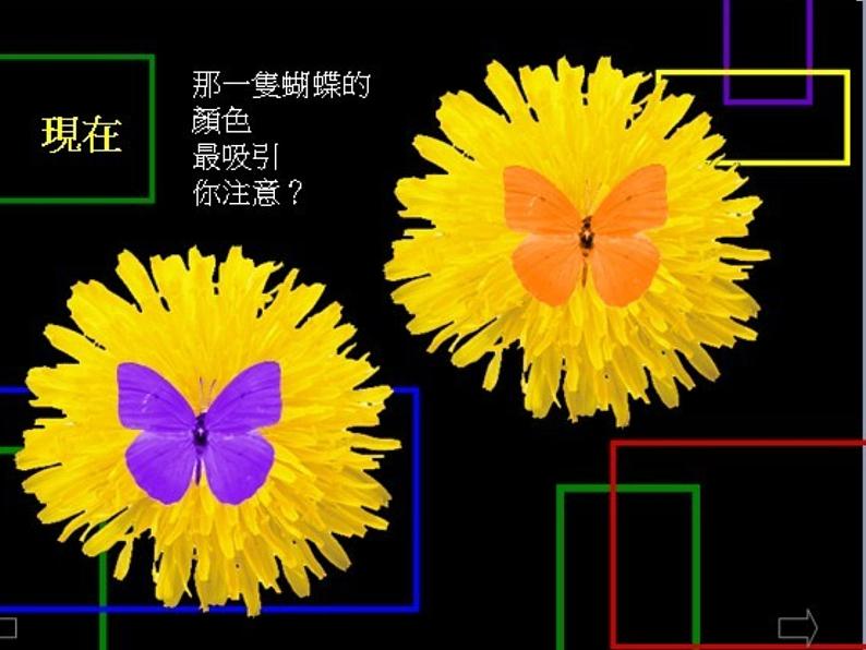 4课色彩的对比课件 人美版 七年级下册 课件第8页