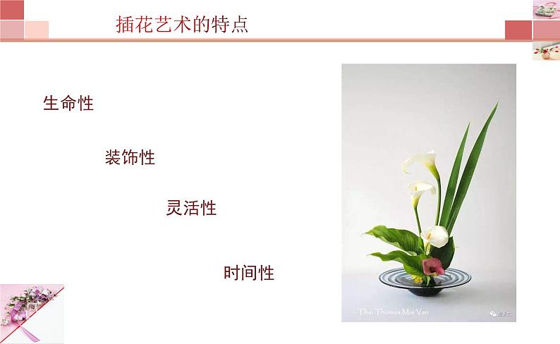 3.1- 插花课件PPT第7页