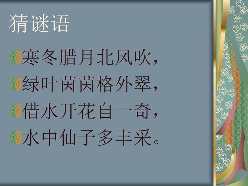 桂美版美术七下 3.中国花鸟画——花卉、禽鸟 课件第2页