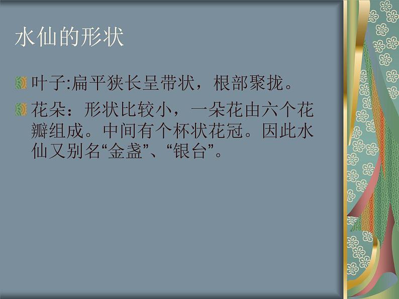 桂美版美术七下 3.中国花鸟画——花卉、禽鸟 课件第8页