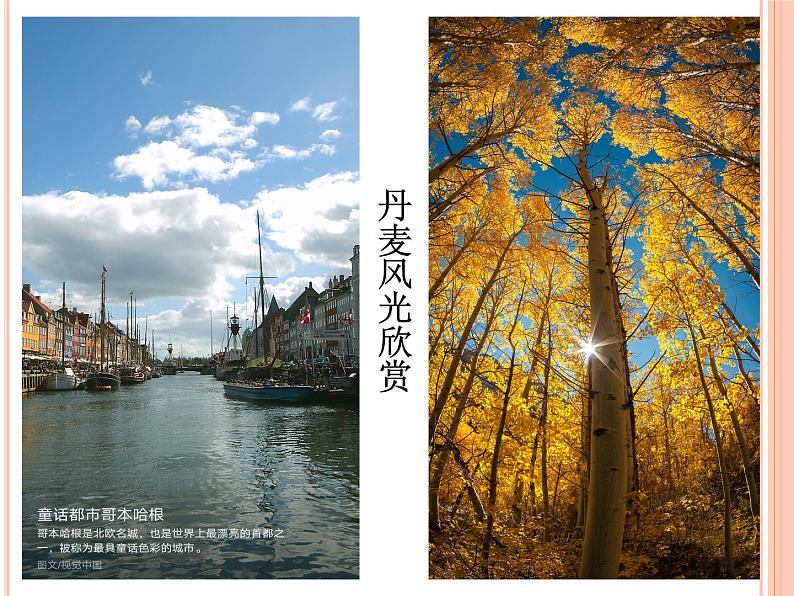 岭南社八年级下册美术课件 6.色彩的表现02
