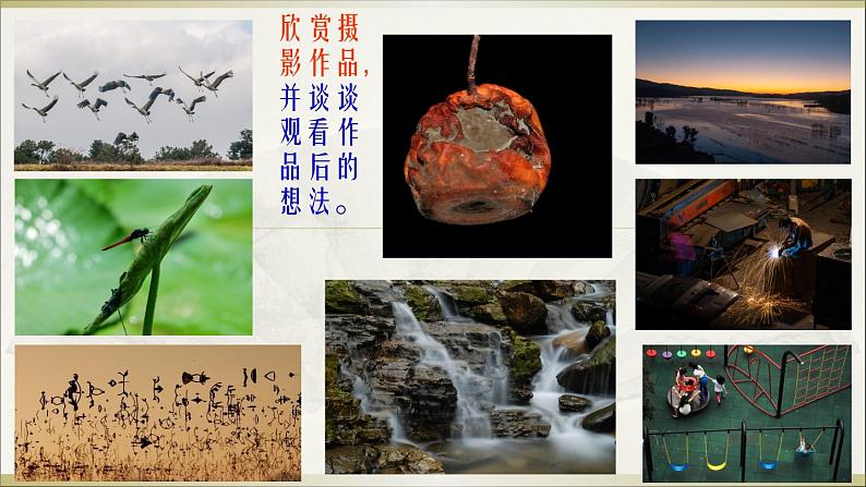 初中美术 湘美课标版 九年级上册 瞬间的精彩 课件第2页