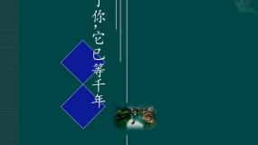 初中美术人教版九年级上册第1课 古城古镇考察图文课件ppt