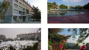 初中美术人教版七年级上册第2课 设计我们的校园教课ppt课件