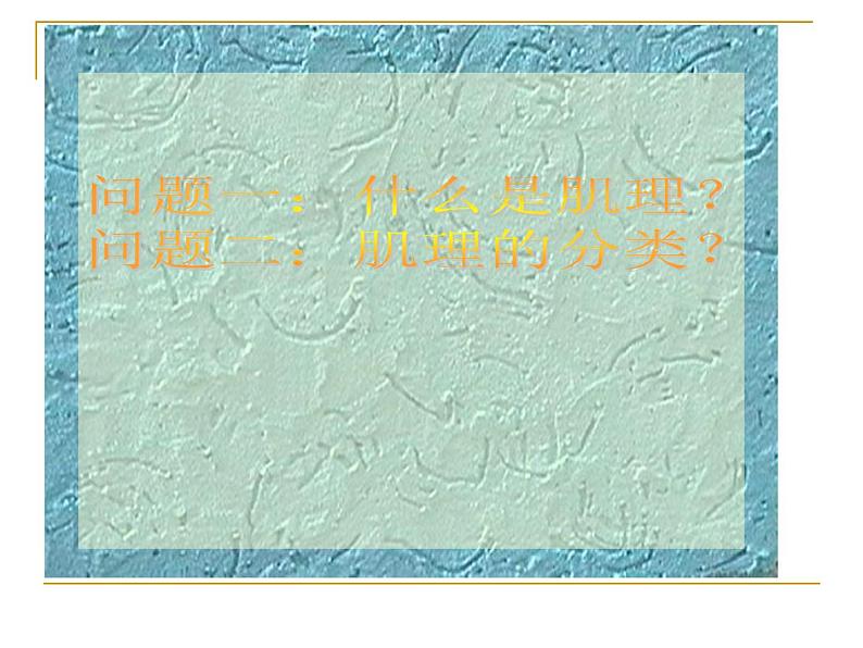 岭南社七年级下册美术课件 6.肌理与应用第2页