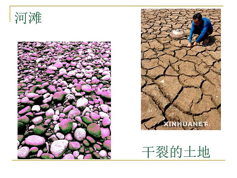 岭南社七年级下册美术课件 6.肌理与应用第6页