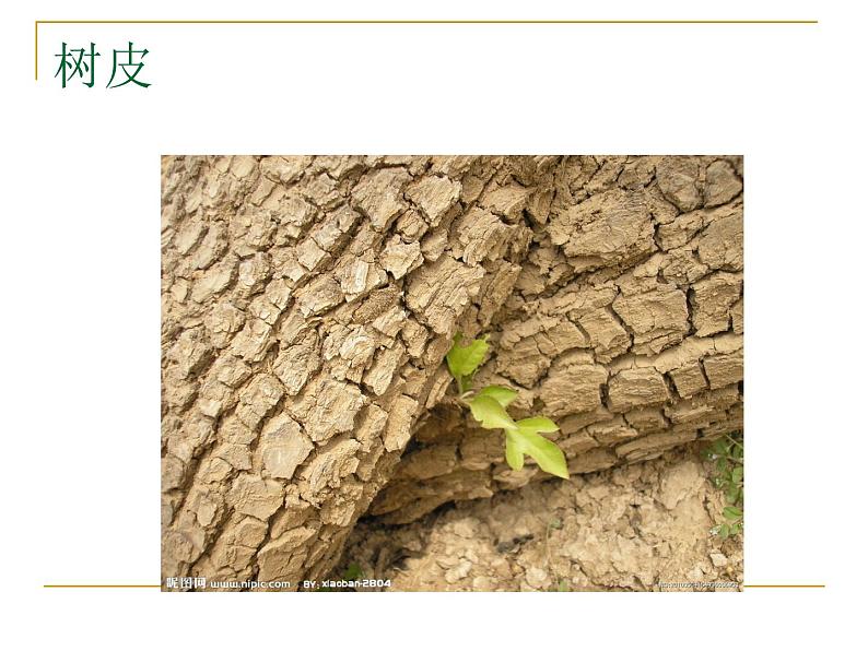 岭南社七年级下册美术课件 6.肌理与应用第7页