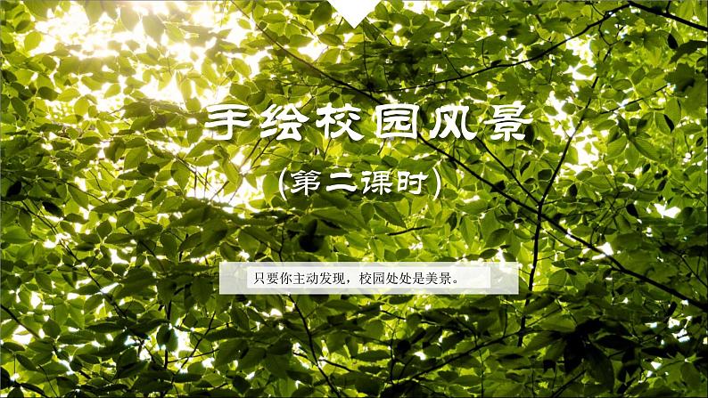 浙美版七年级下册 5.手绘校园风景 课件第1页