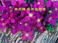 冀教版七年级下册 3.花卉装饰画 课件