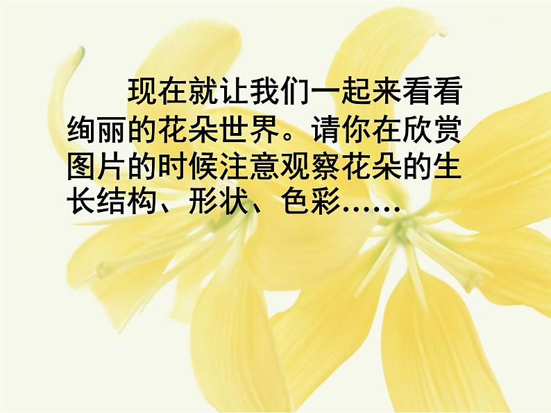 冀教版七年级下册 3.花卉装饰画 课件06