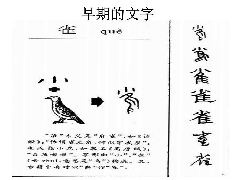苏少版八下美术 8一目了然 课件第5页