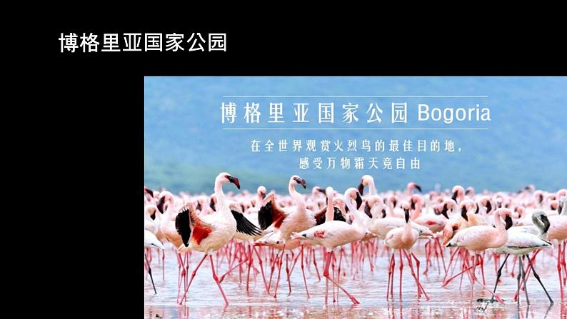 初中美术赣美版八年级下册 捕捉精彩瞬间部优课件第4页
