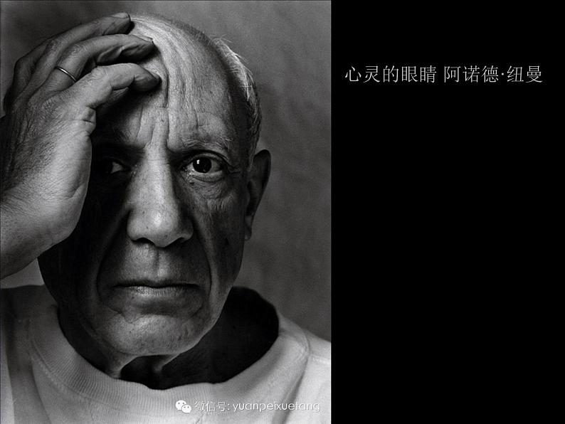 岭南社八年级下册美术课件 7.瞬间的表情第6页