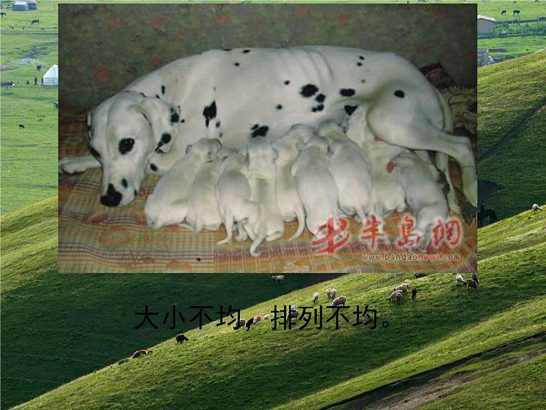 岭南社七年级下册美术课件 3.点与线的魅力第6页