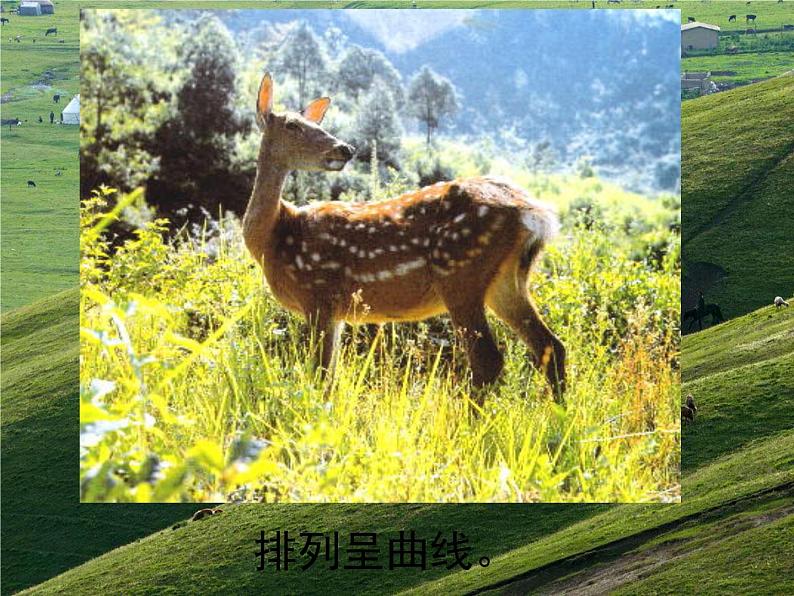 岭南社七年级下册美术课件 3.点与线的魅力第7页