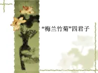 8《梅兰竹菊“四君子”》课件