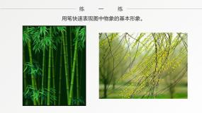 初中美术人美版九年级上册2.线条的艺术表现力课文内容ppt课件