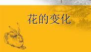 2020-2021学年第6课 花的变化课前预习ppt课件