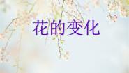 初中美术苏少版七年级上册第6课 花的变化教学演示ppt课件