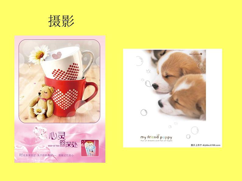 广西版美术七年级上册 4.日记本的封面设计 课件第6页