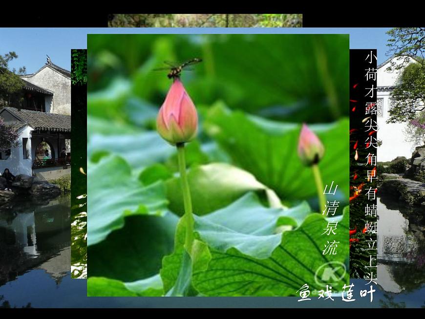 第7課美麗家園課件　2022—2023學(xué)年湘美版九年級美術(shù)上冊第7頁