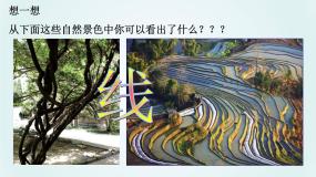 美术九年级上册2.线条的艺术表现力说课ppt课件