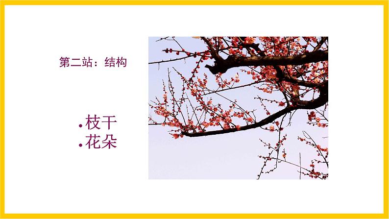 岭南版美术八年级上册3.《鸟语花香》 课件第6页