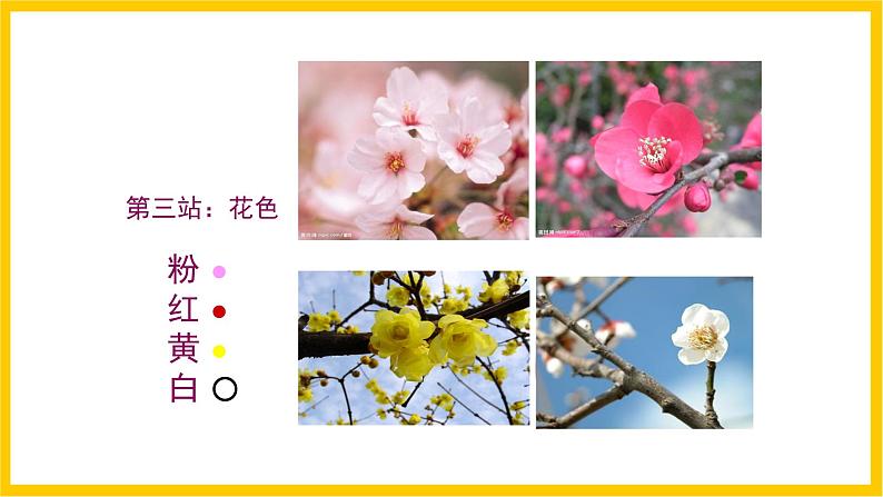 岭南版美术八年级上册3.《鸟语花香》 课件第7页