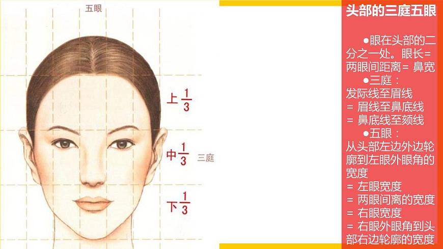 湘美版美術七年級上冊 第一課《畫畫你我他》第二課時 課件第7頁